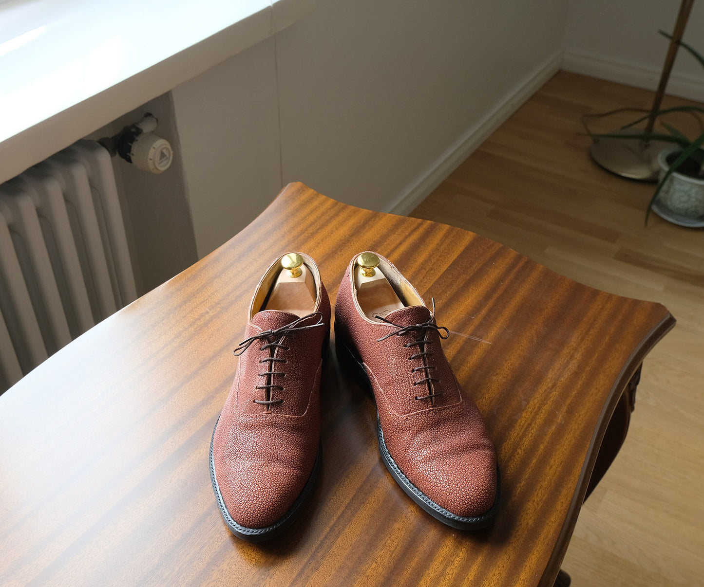 Carmina​,​ black oxford shoes,​ shell cordovan​,​ size 42EU​,​ RRP 775 e