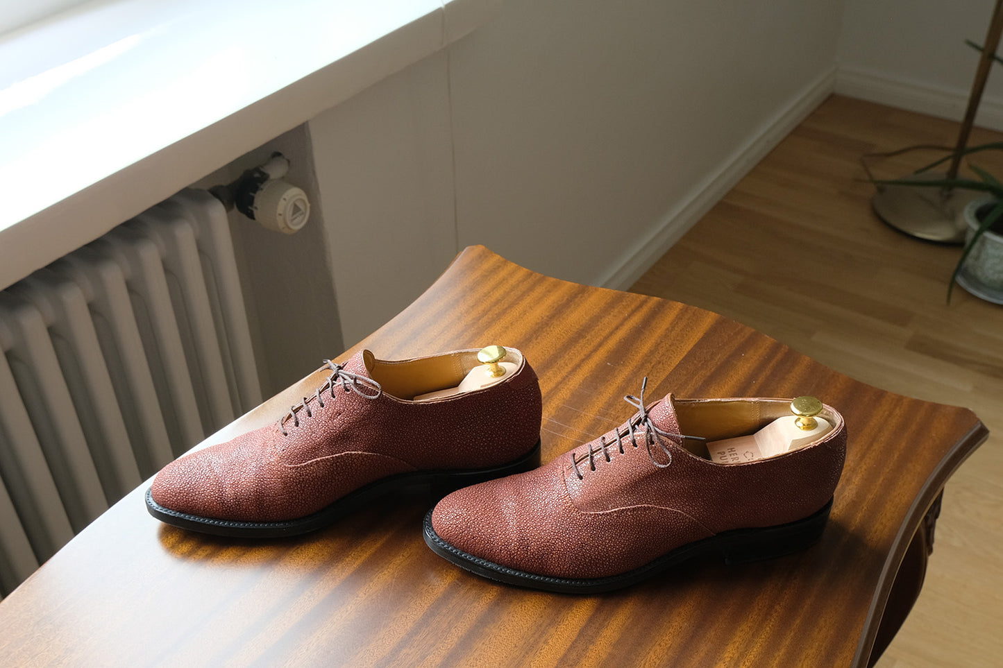 Carmina​,​ black oxford shoes,​ shell cordovan​,​ size 42EU​,​ RRP 775 e